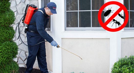 Yeniçamlık Fare İlaçlama böcek ilaçlama ve haşere kontrolü — ilaclama-tr.com